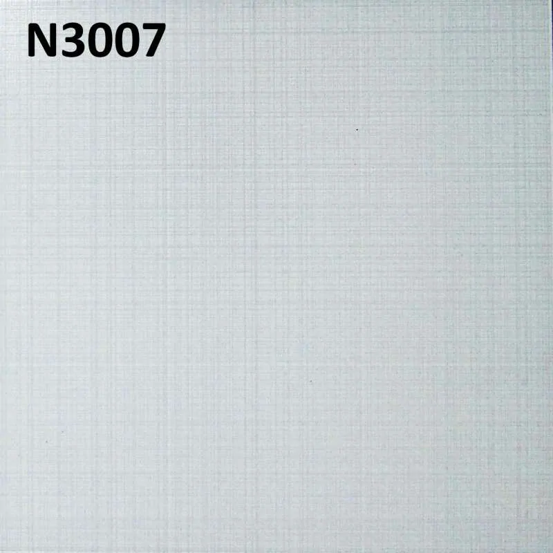 N3007