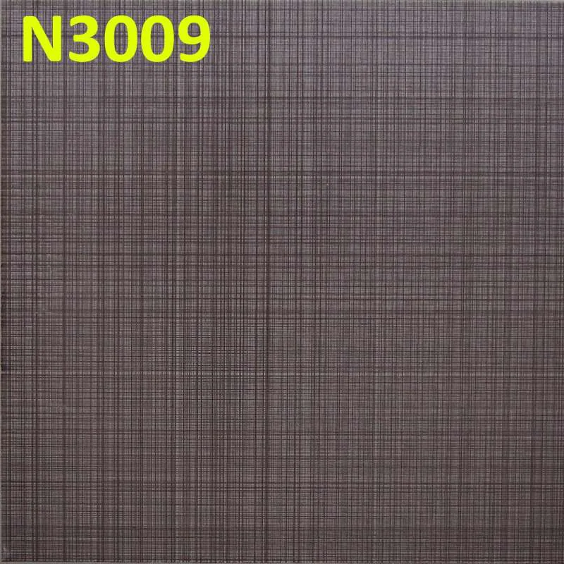 N3009