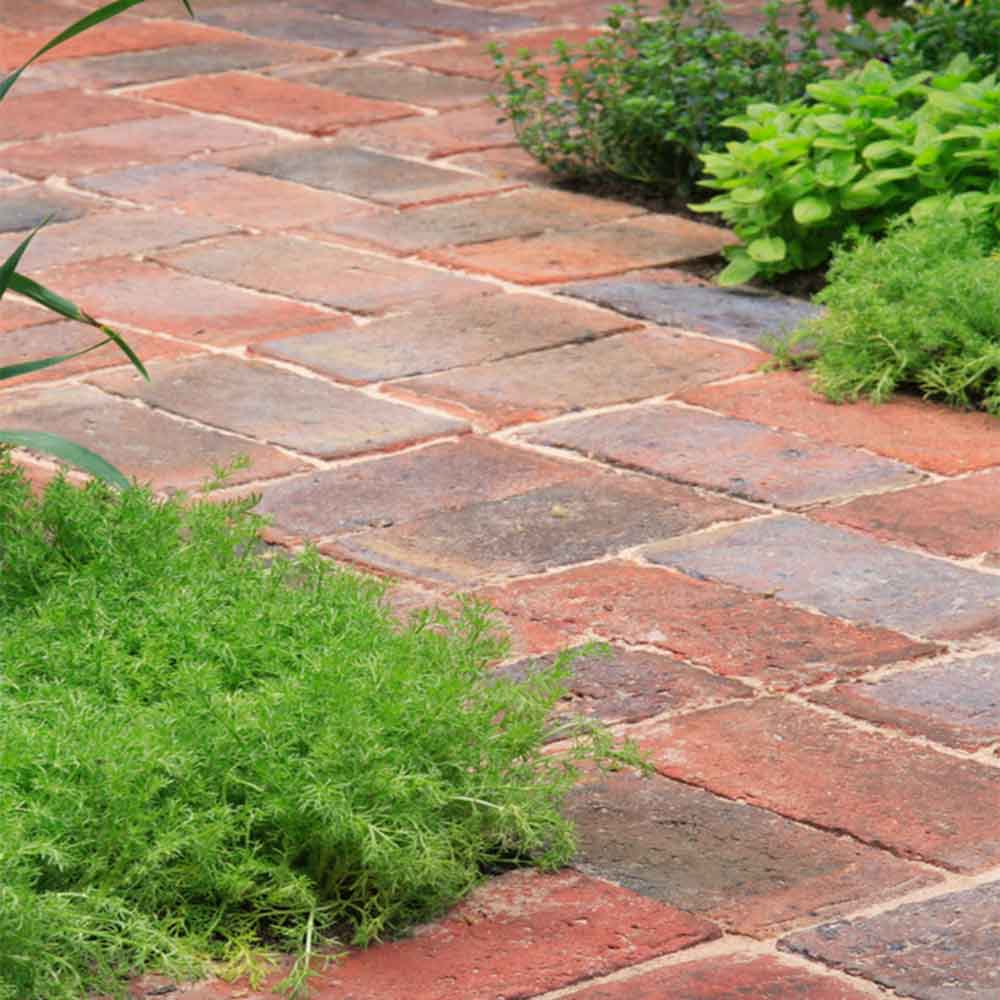Mẫu gạch hình chữ nhật phù hợp cho cả sân nhà và sân vườn