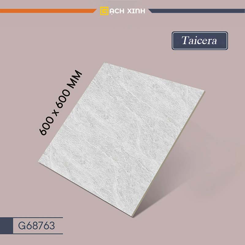Gạch Taicera 60x60 G68763 1