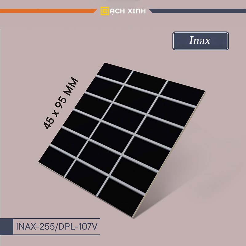 Gạch Inax – INAX-255/DPL-107V