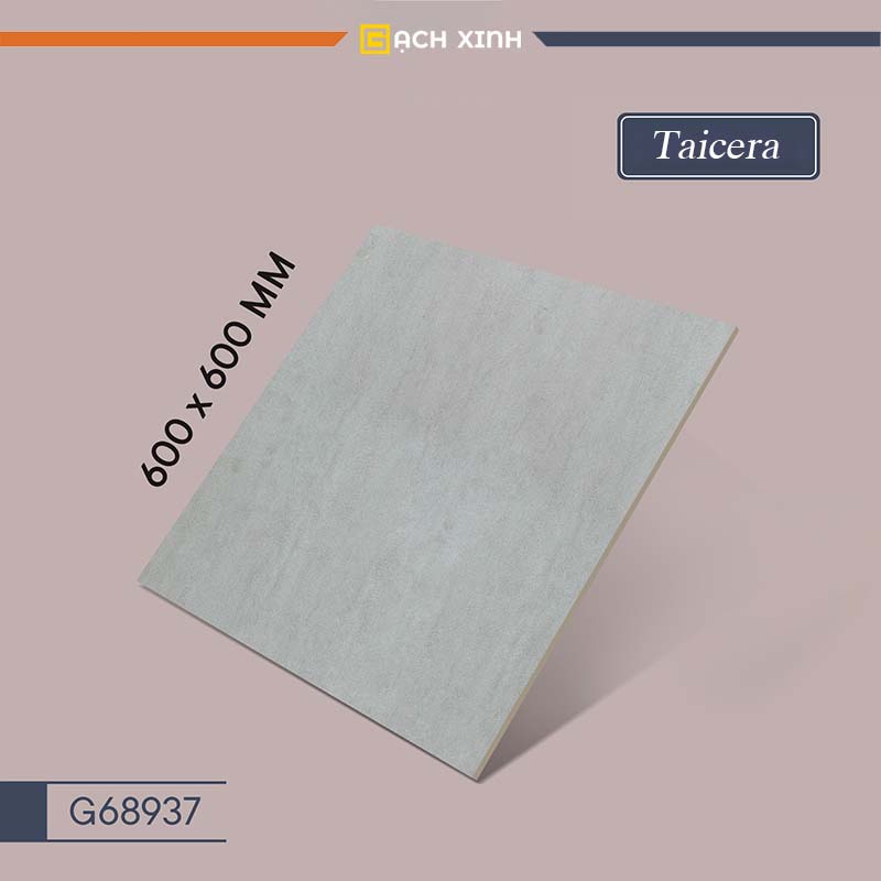 Gạch Taicera 60x60 G68937 1