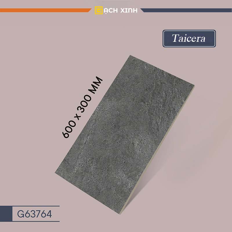 Gạch Taicera G63764 1