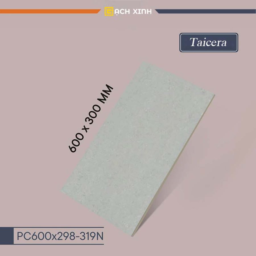 4-taicera-pc600x299-319n-double-loading-series-gach-xinh-1